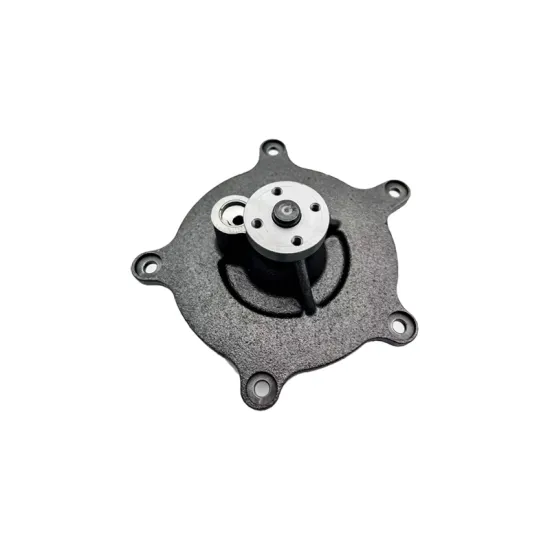 OEM Truck Water Pump 1842664C92 - Fit for INTERNATIONAL Truck Engine Parts