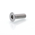 304 Hexagon Socket Countersunk Head Bolts M6