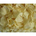 /msite/products/detail/productid/64272313/id/1526774.html