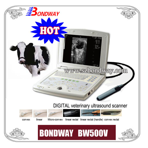 Laptop Veterinary Ultrasound Scanner