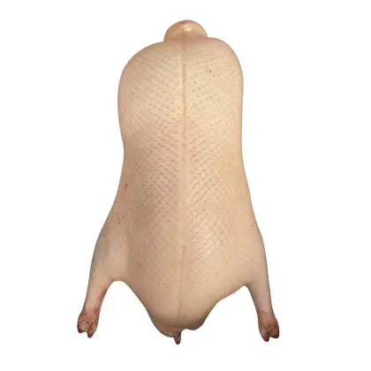 Frozen Peking Duck Carcass