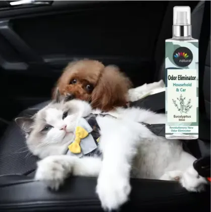 Essential Oil Scented Car and Toilet Spray