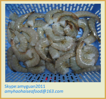 Shrimp