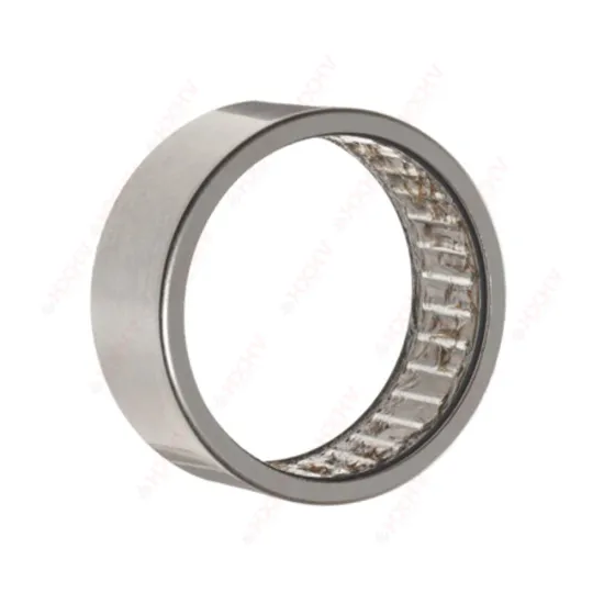 RPNA25/42 Size 25x42x20 mm HXHV Chrome Steel Needle Roller Bearing