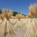 Naturalne paski bambusowe do majsterkowania i rzeźbienia