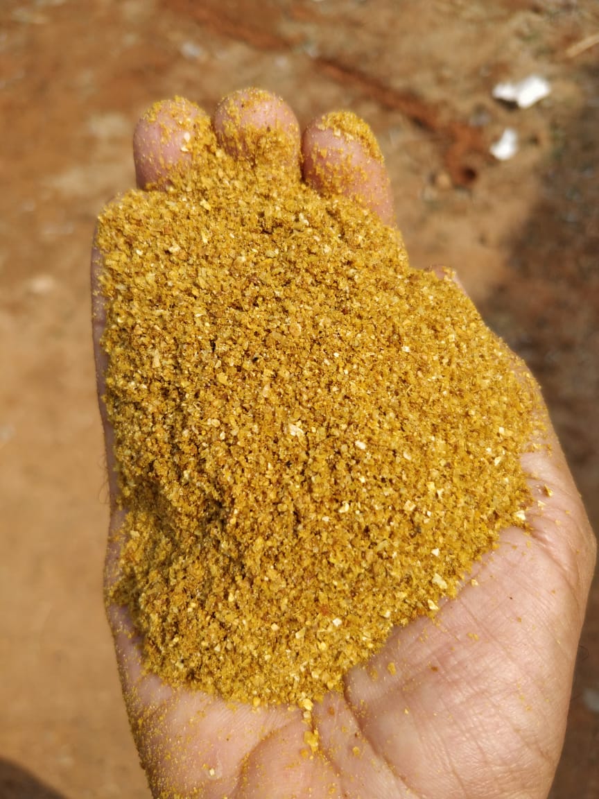 New product Corn Gluten Feed 28