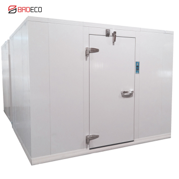 Cold Room Hinged Door Half/Full Buried Door