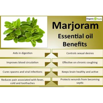 Sweet Marjoram Flow Flower Ferbal Extrato líquido líquido a granel 10ml Óleo de Marjoram Orgânico 100% puro para a pele