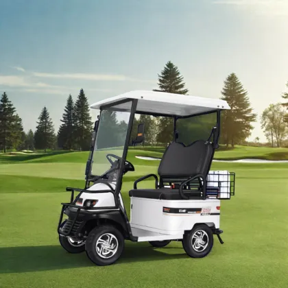 High Performance Electric Golf Cart Batteries and Vehicles: Boosting Your Golf Experience