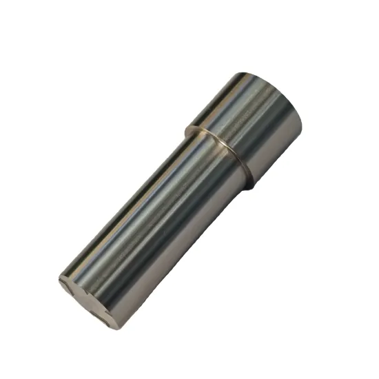 Stamping Die Assembly: HSS Mould Punches