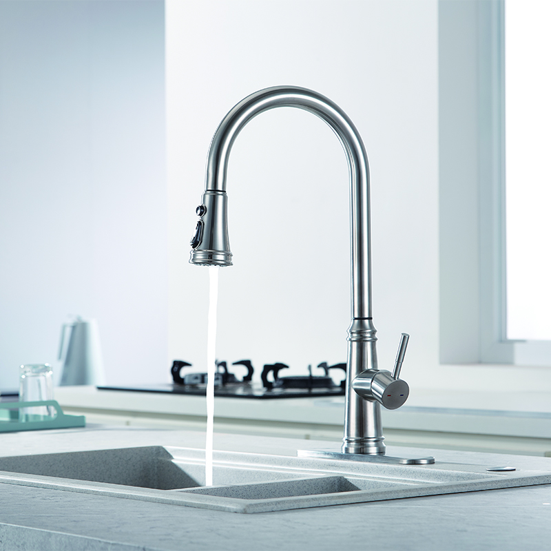 Satinless Steel Nickel Dual Function Kitchen Faucet