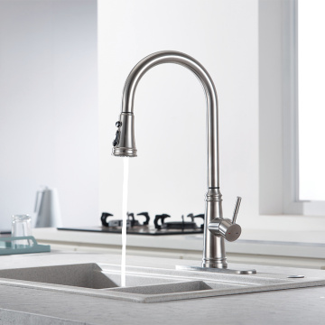 ʻO Satinless Steel Nickel Dual Function Kitchen Faucet