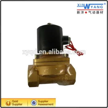2W type two way DC24V/AC110V water solenoid valve 24v