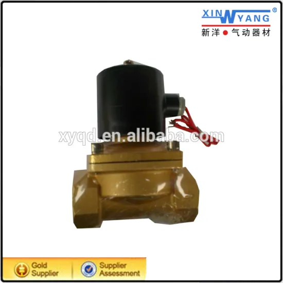 2W type two way DC24V/AC110V water solenoid valve 24v