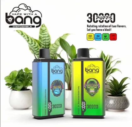 Wholesale Original Brand Bang King 30000 vapes