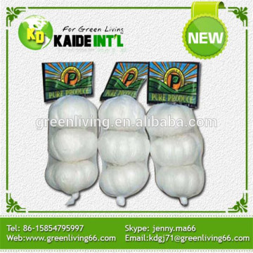 Import China Garlic