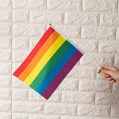 Hot Selling LGBT Printed Polyester Pride hand Flags