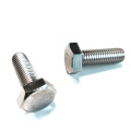 316 Stainless steel bolt