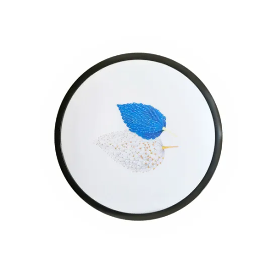 led ceiling light fixture