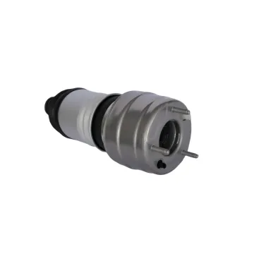 Front Air Suspension Shock Strut Air Spring for Mercedes-Benz W253 (2533207200-2533207300)