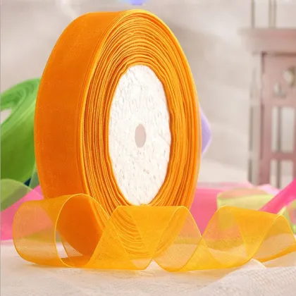 Indian Embroidery Silk Ribbon