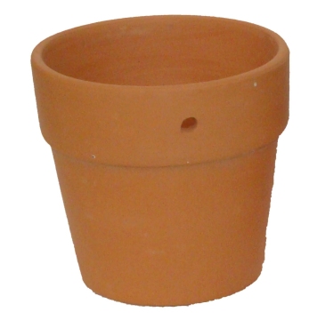 ceramic pot