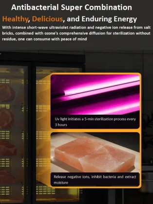 Stainless Steel Beef or Steak Dry Ager Refrigerator