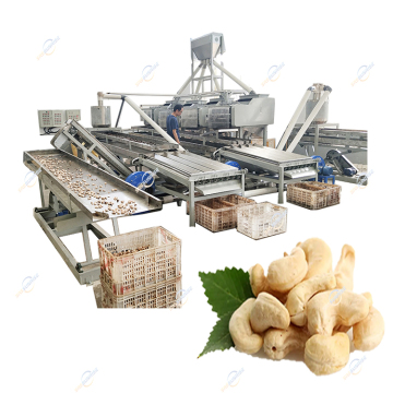Automatic Cashew Nut Peeling and Shelling Production Line Machine