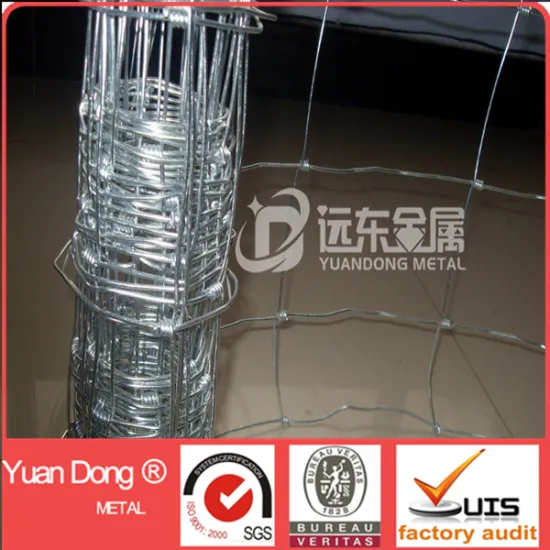 Professional supplier wire welded cattle panel(Factory)