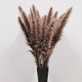 60cm Dried Pampas Grass Reed Flower Bouquet Natural Plants Home Decor Wedding Party Props Bulrush Flores Preservadas Decoration