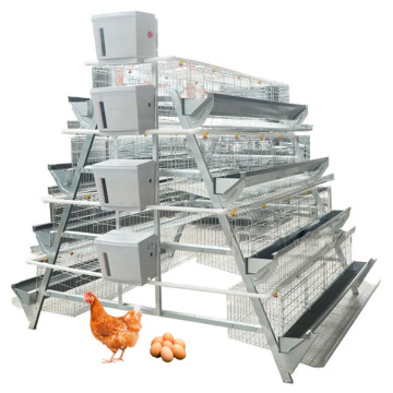 Great Farm Animal & Poultry Husbandry - A-type Battery Cage Chicken Coops for Layers and Broilers