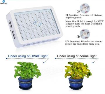Hydroponic Growing Systems LED Grow Light