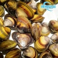 Vongole di fiume raccolte in modo sostenibile e carne congelata pulita