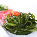 Vegetal de algas marinas de alga kelp salada de primera calidad