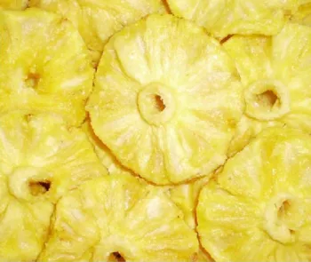 Pineapple Slicer