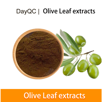 Olivenblatt -Extraktpulver, organisches Olivenblatt, Oleuropein 40%