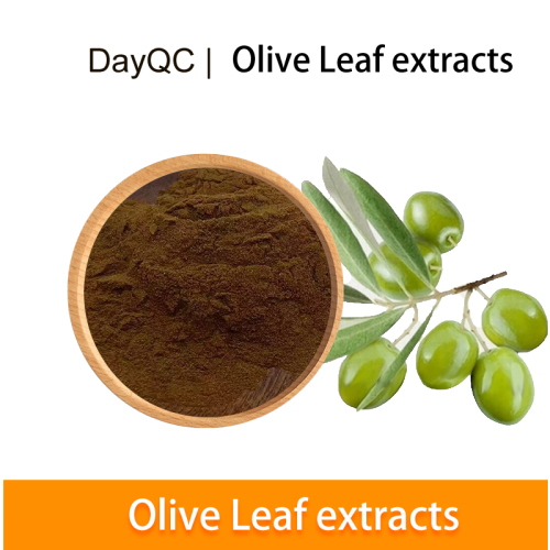 extracto de hoja de oliva oleuropeína en polvo a granel 40%