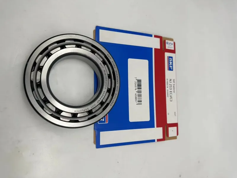 Best Single Row Cylindrical Roller Bearing for Auto Wheel Hub, Water Pump & Gearbox
