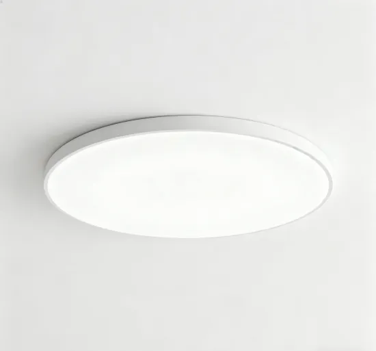 Minimalist Round Ceiling Light with Advanced LED Panel