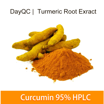 Extrait de racine de curcuma jaune naturel en poudre de curcumine en vrac