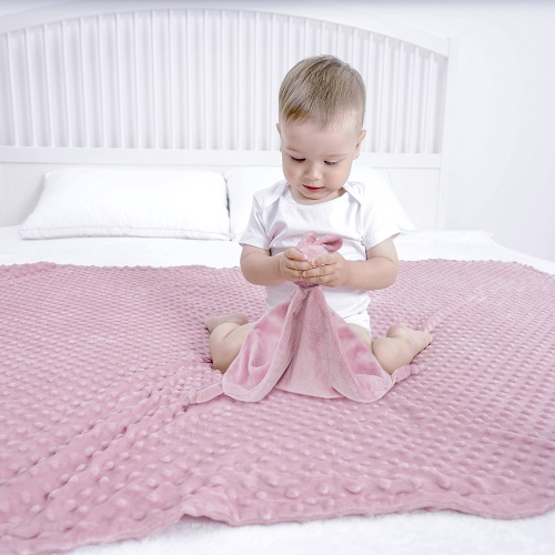 Warm and Windproof Blanket baby minky blanket with rabbit toy Supplier