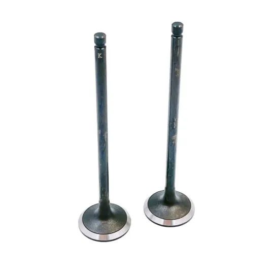 Intake Valve and Exhaust Valve 14721-p0a-000 for CD5 1994-1997 4AT/5MT and RA3 1998-2004 4AT
