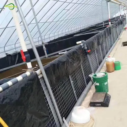 epdm move small pond