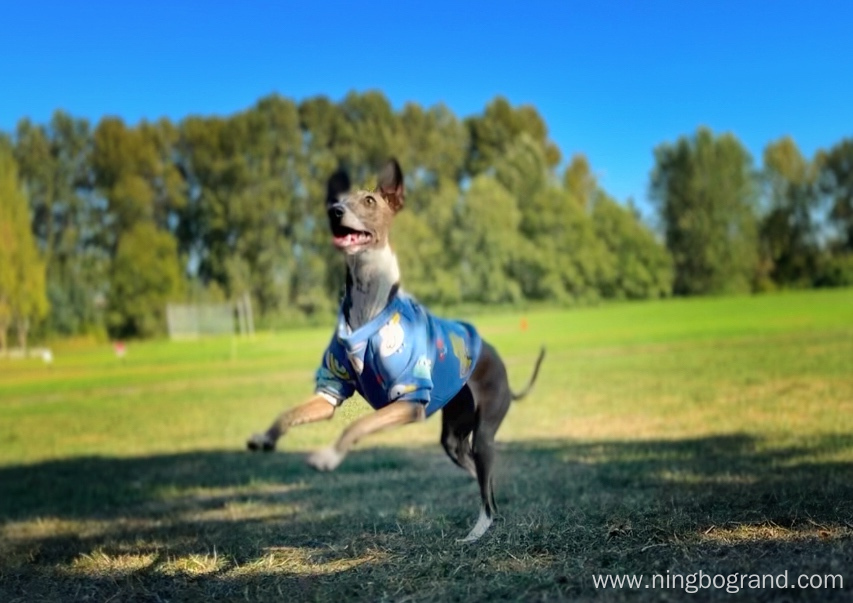 Comfy Sleeveless Puppy Pullover Vest