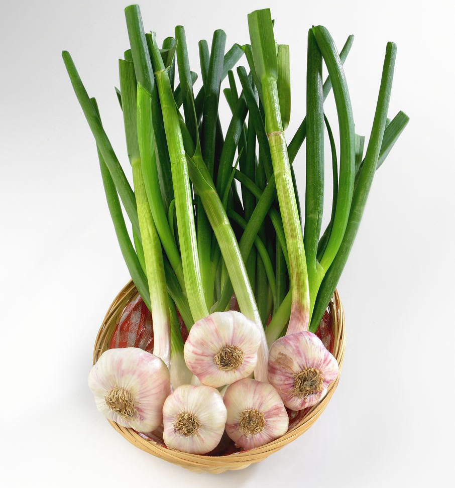 Garlic Extract Powder Allicin (1)