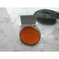 Dunaliella Salina Algae Extract Powder