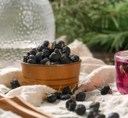 Bulk Wholesale Black Goji Berry From Qinghai