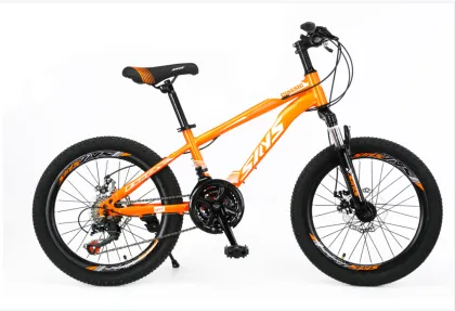Provides Children′s Bicycles/14-18 Inch STUDENTS