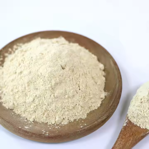 Garlic Extract Powder Bulk for Seasoning Pure Garlic Powder