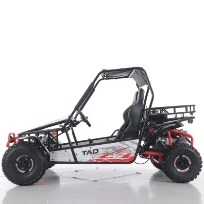 Tao Motor 200cc Electric Start Off Road Gas Go Kart
